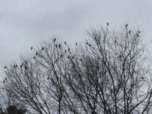 pastedGraphic_6 2.png